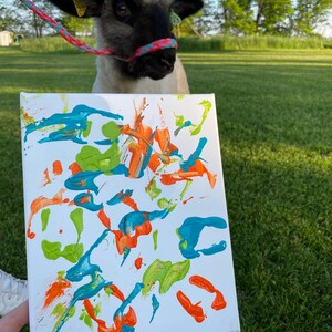 Op de afbeelding: Een wit canvas met abstracte verfspatten in oranje, blauwgroen en groen. Een schaap met een zwart gezicht en een roze en blauw touwhalster staat op groen gras op de achtergrond.