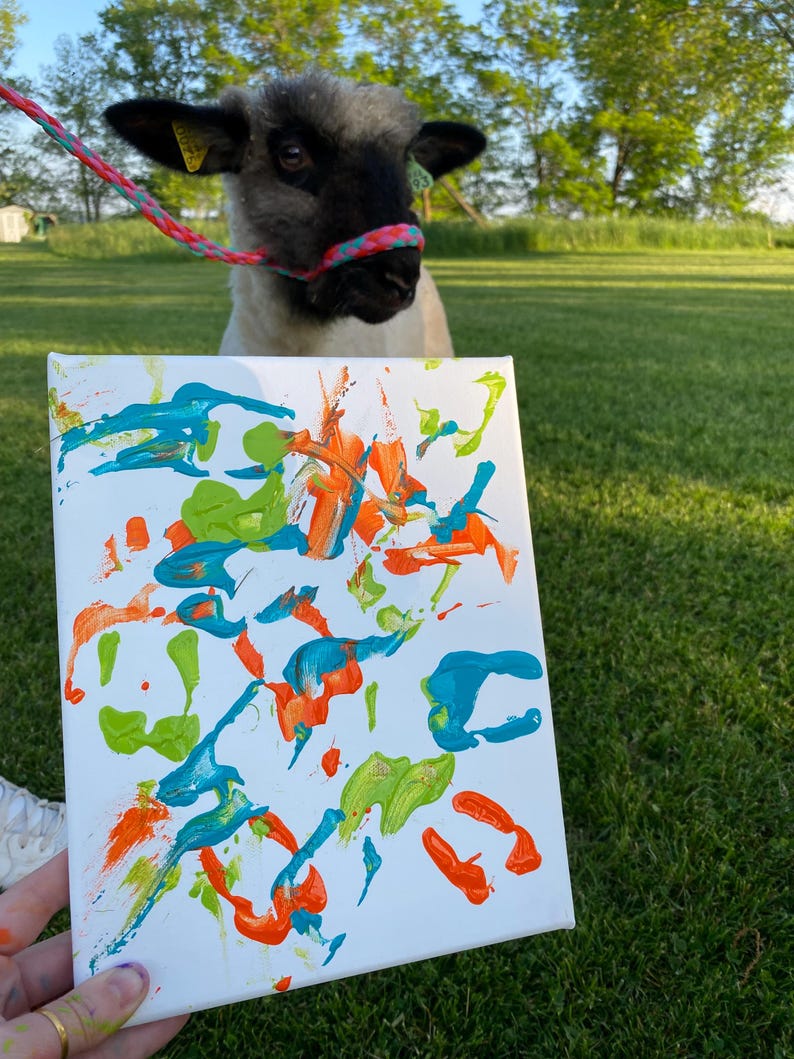 Op de afbeelding: Een wit canvas met abstracte verfspatten in oranje, blauwgroen en groen. Een schaap met een zwart gezicht en een roze en blauw touwhalster staat op groen gras op de achtergrond.