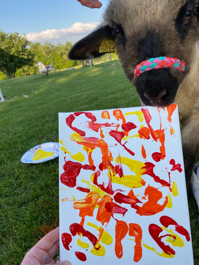 Op de afbeelding: Een canvas met abstracte kunst in rode, oranje en gele verf. Een schaap met een kleurrijke gevlochten neusband staat op de achtergrond. Een papieren bord met gele en blauwe verf staat op de achtergrond.