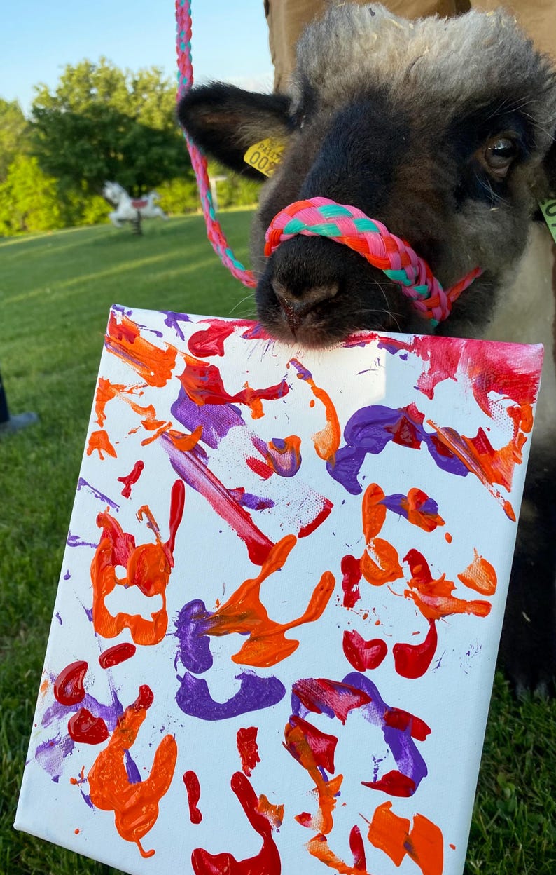 Op de afbeelding: Een canvas met abstracte kunst in tinten oranje, paars en rood. Het kunstwerk wordt vastgehouden door een schaap met een kleurrijk halster. Het schaap heeft een label in zijn oor.
