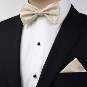 Paisley Bow Tie Set in Champagne Men's Bow Tie and Pocket Square in ...