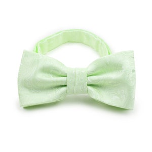 Seafoam Fliege | Hochzeit Paisley Fliege in Seafoam Grün