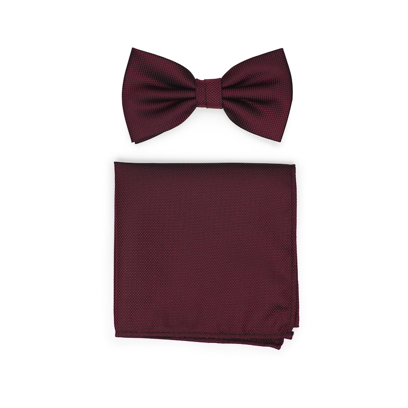 Matte Burgundy Stropdas Set Heren stropdas in solid burgundy met bijpassende hanky Solid Matte Finish Stropdas en Pocket Square Set afbeelding 4