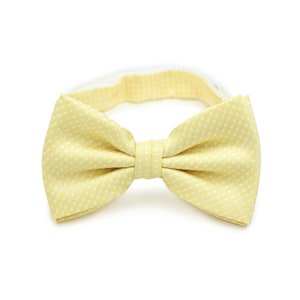 Light Yellow Skinny Tie Mens Slim Cut Necktie in Soft Yellow Pastel ...