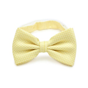 May include: A yellow bow tie with white polka dots.