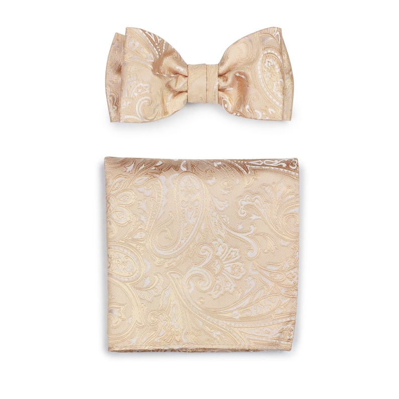 Champagne Paisley Tie Set Mens Wedding Tie Set in Champagne Etsy