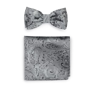 Mercury Silver Bowtie Set | Silver Gray Bow Tie Set in Paisley Design