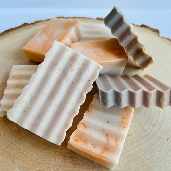 Soap Samples || Handcrafted Soap Bar || Mini Soap Samples || Nontoxic Vegan Soaps