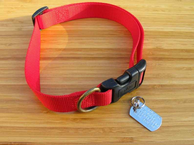 Placa de identificación para mascotas de acero inoxidable (4 líneas) + 2 anillas divididas imagen 2