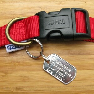 Placa de identificación para mascotas de acero inoxidable (4 líneas) + 2 anillas divididas imagen 4