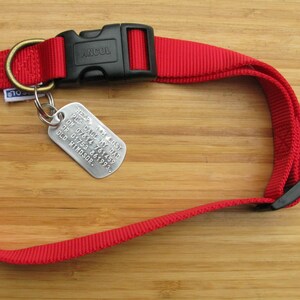 May include: Red nylon dog collar with a black plastic buckle and a silver metal tag that reads "HELP I'M LOST PLS CALL MY DAD OM 07814 761459 OR 01753 861993. OLD WINDSOR."