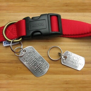 May include: Two silver dog tags with engraved text and phone numbers. The tags are attached to a red dog collar with a black buckle that says "ANCOL".