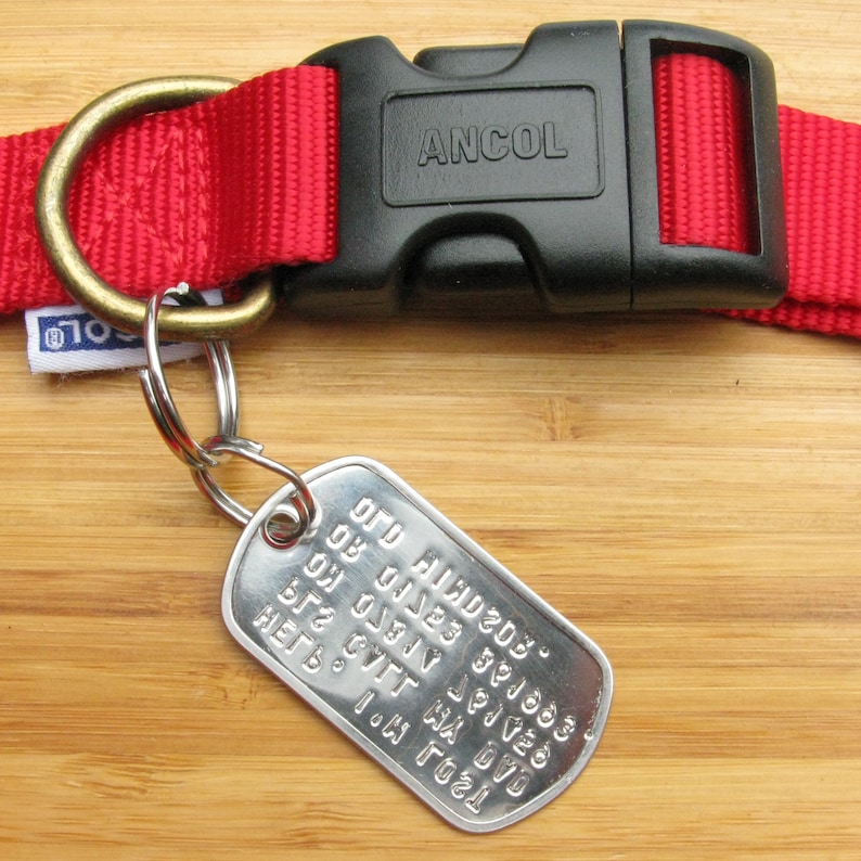 May include: Red dog collar with a black plastic buckle that says "ANCOL" and a silver dog tag with the text "LOST DOG  JAKE  577  CTT  B72  034V  391883  2023  HI12028."