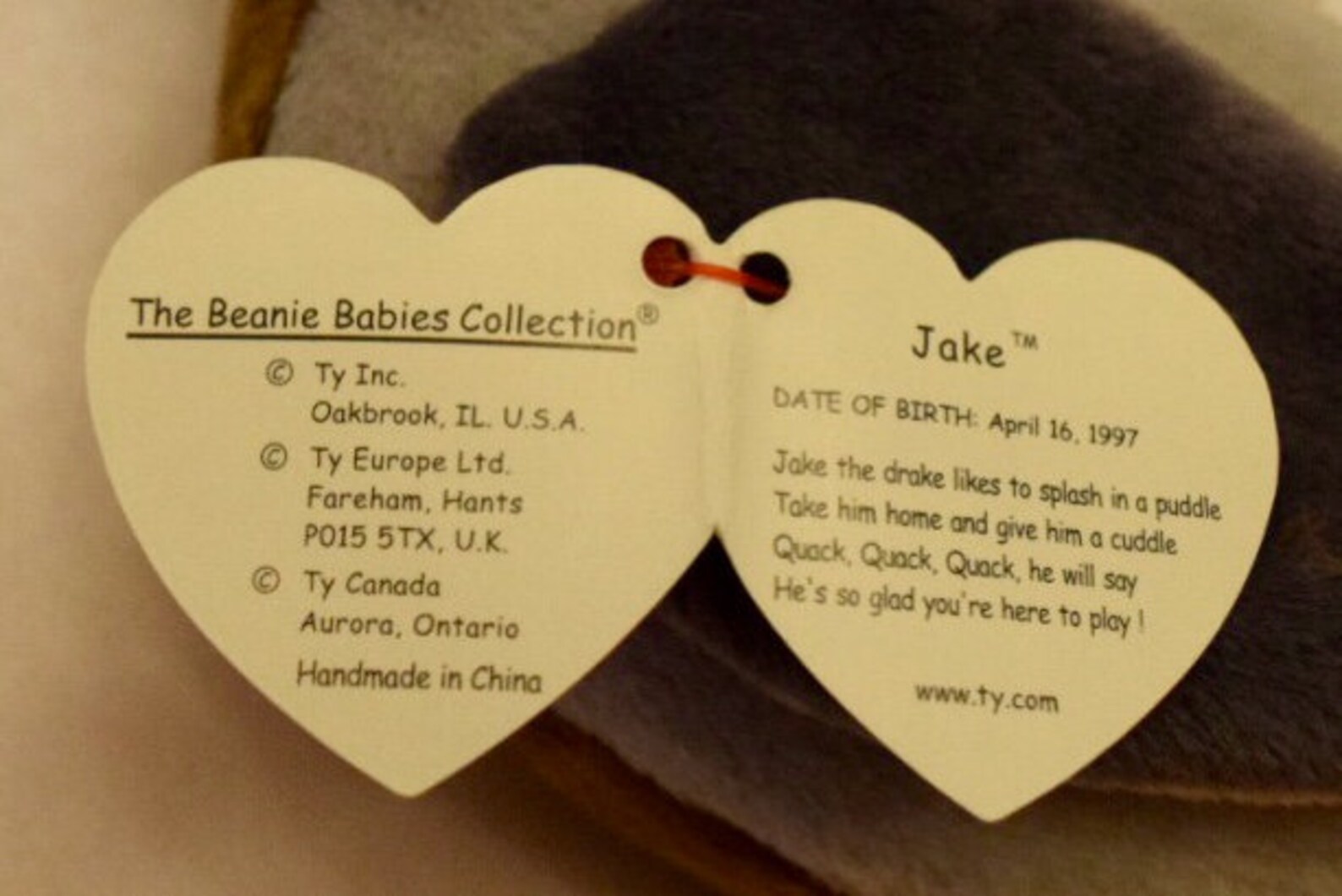 Jake the Duck Original TY Beanie Babies Etsy