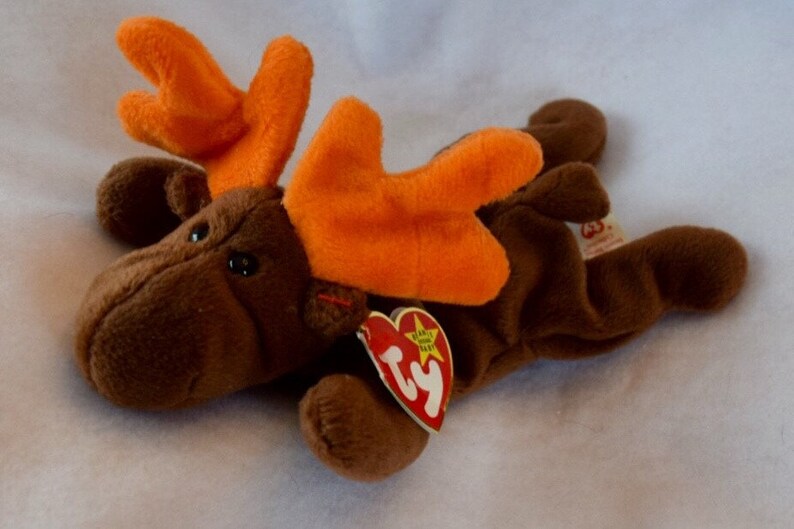 Chocolate the Moose Original TY Beanie Babies | Etsy