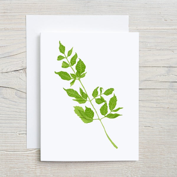 Chinaberry Leaves note card