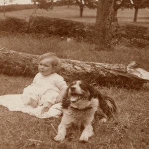 Vintage Hundefoto 'Baby & Hund' Vintage Baby und Hundefoto, Hunde, Haustiere, Familienfoto, 1920's Baby, Hundepostkarte, Rppc