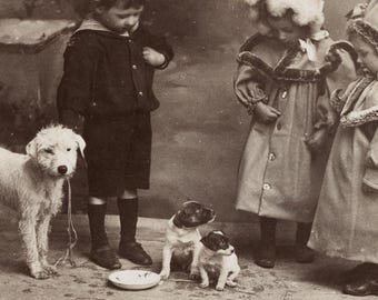 Photo vintage de chiot, enfants et chiens, carte postale Jack Russell, Rppc