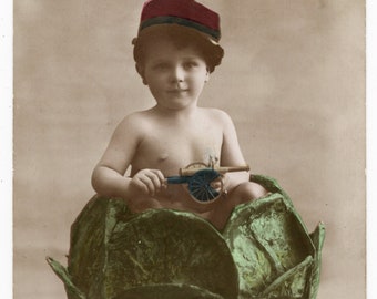 1910's Photo 'Cabbage Boy' Baby Boy in a Cabbage, Toy Canon, Hand Tinted, Children, Toys, Unusual Photo, Rppc