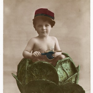 Photo des années 1910, bébé garçon dans un chou, jouet Canon, teinté à la main, enfants, jouets, photo insolite, Rppc