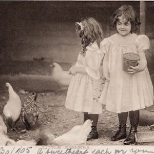 Cartão postal dos anos 1900 'Alimentando galinhas e galinhas' Meninas eduardianas, Agricultura, Alimentando galinhas, Galinhas, Crianças, Cartão postal eduardiano,
