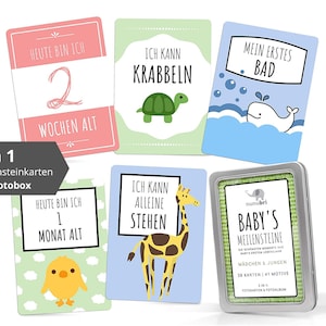 41 Bunte Meilensteinkarten Baby "Mein 1. Lebensjahr" | Meilensteine | Geschenk Geburt | Geschenk Taufe | Geburtsgeschenk Meilensteine Baby