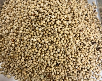 Organic Sorghum Whole Grain - Indigenous Super Food | Nutrient Dense Gluten Free High Protein | Substitute for Rice or Quinoa Brew Beer