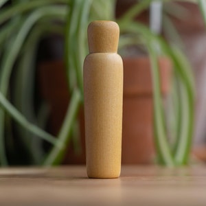 Duck Bird Call Whistle Sound Effect