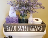 Hello Sweet Cheeks Box, Bathroom Wood Box, Toilet Paper Holder, Funny Bathroom Box, Painted Wood Box, Housewarming Gift, Toilet Caddy Decor