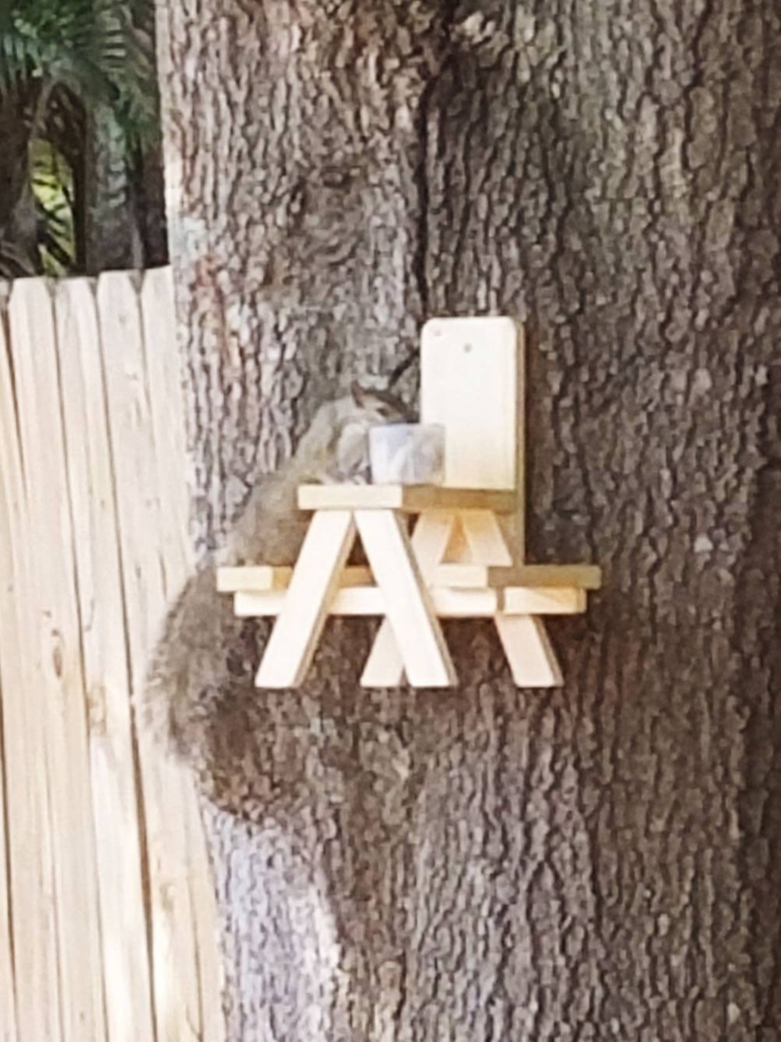 Squirrel Picnic Table Squirrel Feeder Mini Picnic Table Etsy UK