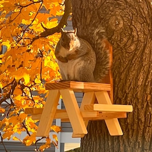 Squirrel Picnic Table, Squirrel Feeder, Mini Picnic Table, Corn Cob, Wood Feeder, Bird Feeder, Chipmunks, Wildlife, Backyard Decor, Gift