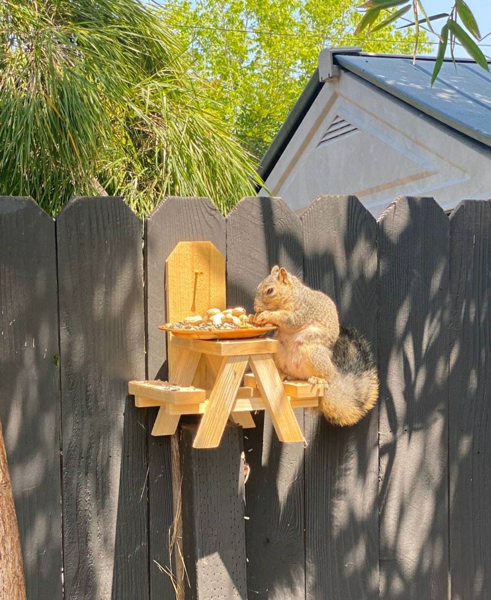 Tuto : Fabriquez une mangeoire façon table de pique-nique pour les écureuils  de votre jardin