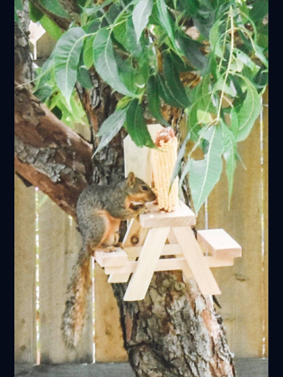 Squirrel Picnic Table Squirrel Feeder Mini Picnic Table Etsy