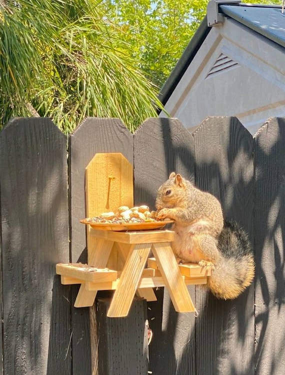 Table de pique-nique décureuil, mangeoire décureuil, mini table de  pique-nique, épi de maïs, mangeoire à bois, mangeoire à oiseaux, tamias,  faune, décor darrière-cour, cadeau -  Canada