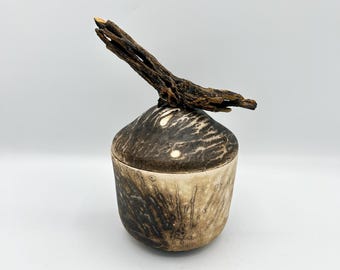 Obvara Jar with Cholla