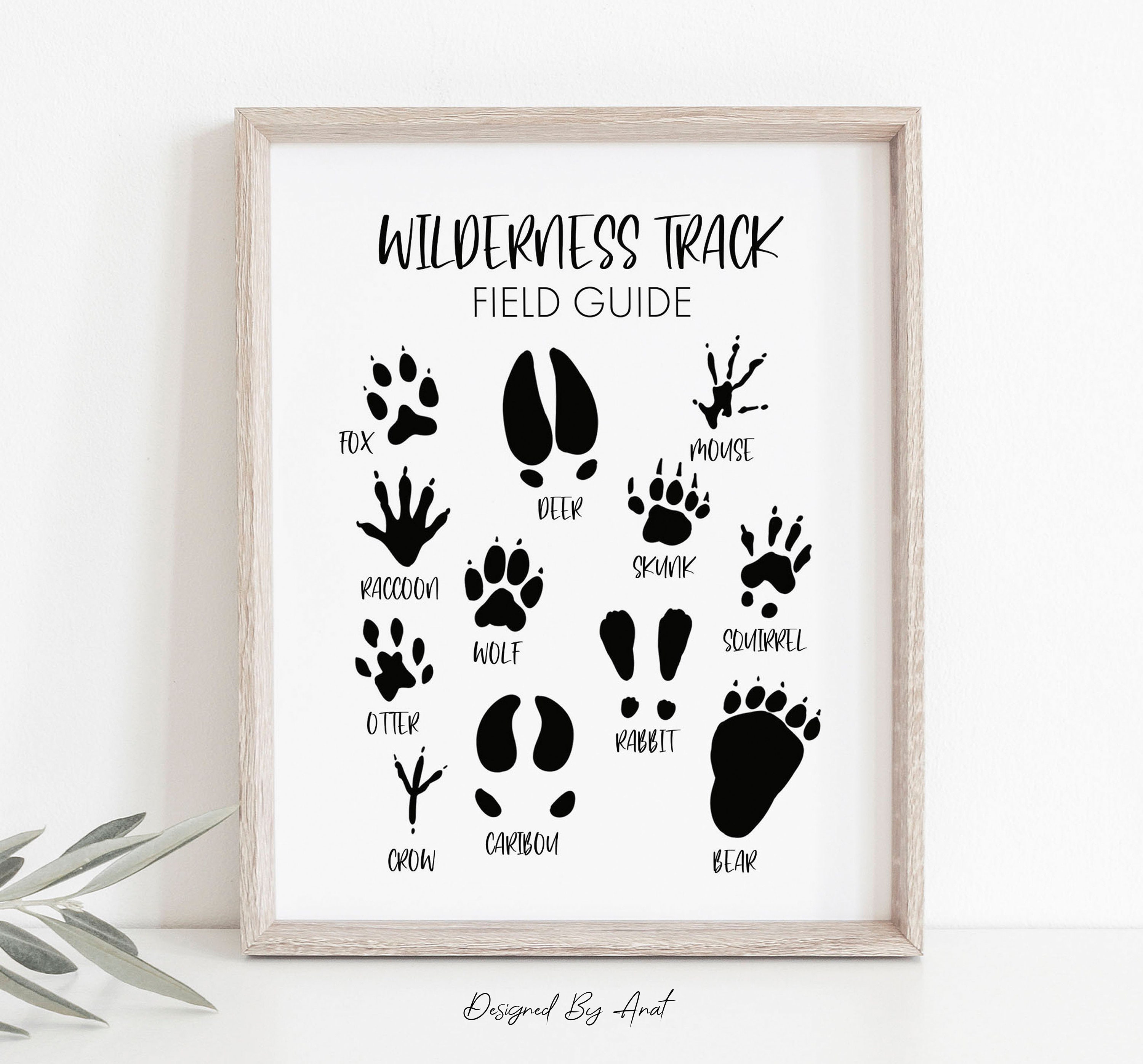 Wilderness Track Field Guide Sign Animal Footprints Game