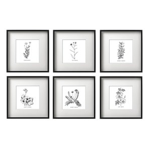 Botanical prints, Floral picture, Printable set of 6