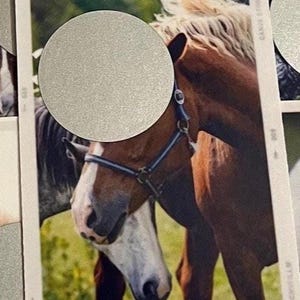 Mini Scratch Off Card Set of 16 - Animals on the Farm - Fun Money Saving Challenges