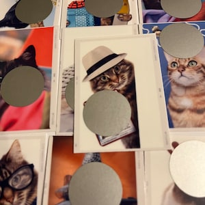 Lot de 16 mini cartes à gratter - Chats rigolos, défis amusants pour économiser de l'argent