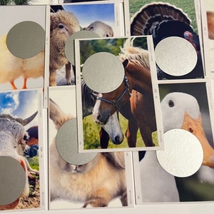 Lot de 16 mini cartes à gratter - Animaux de la ferme - Défis amusants pour économiser de l'argent