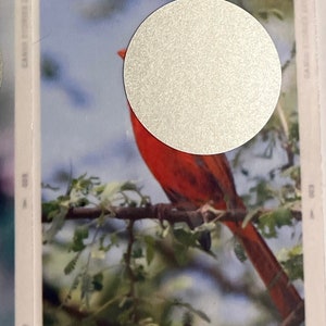 Lot de 16 mini cartes à gratter - La beauté des oiseaux - Des défis amusants pour économiser de l'argent