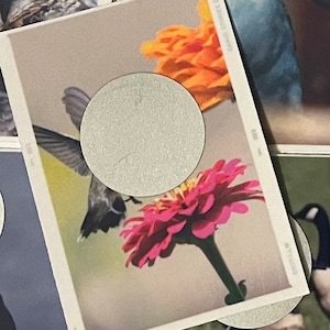 Lot de 16 mini cartes à gratter - La collection d'oiseaux - Des défis amusants pour économiser de l'argent