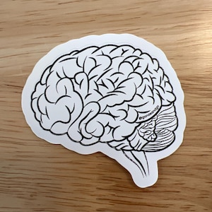 May include: A white sticker featuring a black line drawing of a human brain. The brain illustration is detailed, showing the cerebrum, cerebellum, and brainstem. The sticker is on a wooden surface. The text "@ganasandgo" is in the upper right corner.