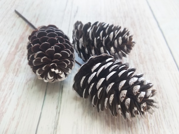 Pinecone Spray, Flocked Pinecones for Wreaths, Winter Pine Cone Pick, Faux  Pinecones for Christmas 