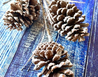 Axylex 20 pieces christmas pine cones decorations picks - snow pine cone  for xmas tree garland wreath ornaments pinecones decorating
