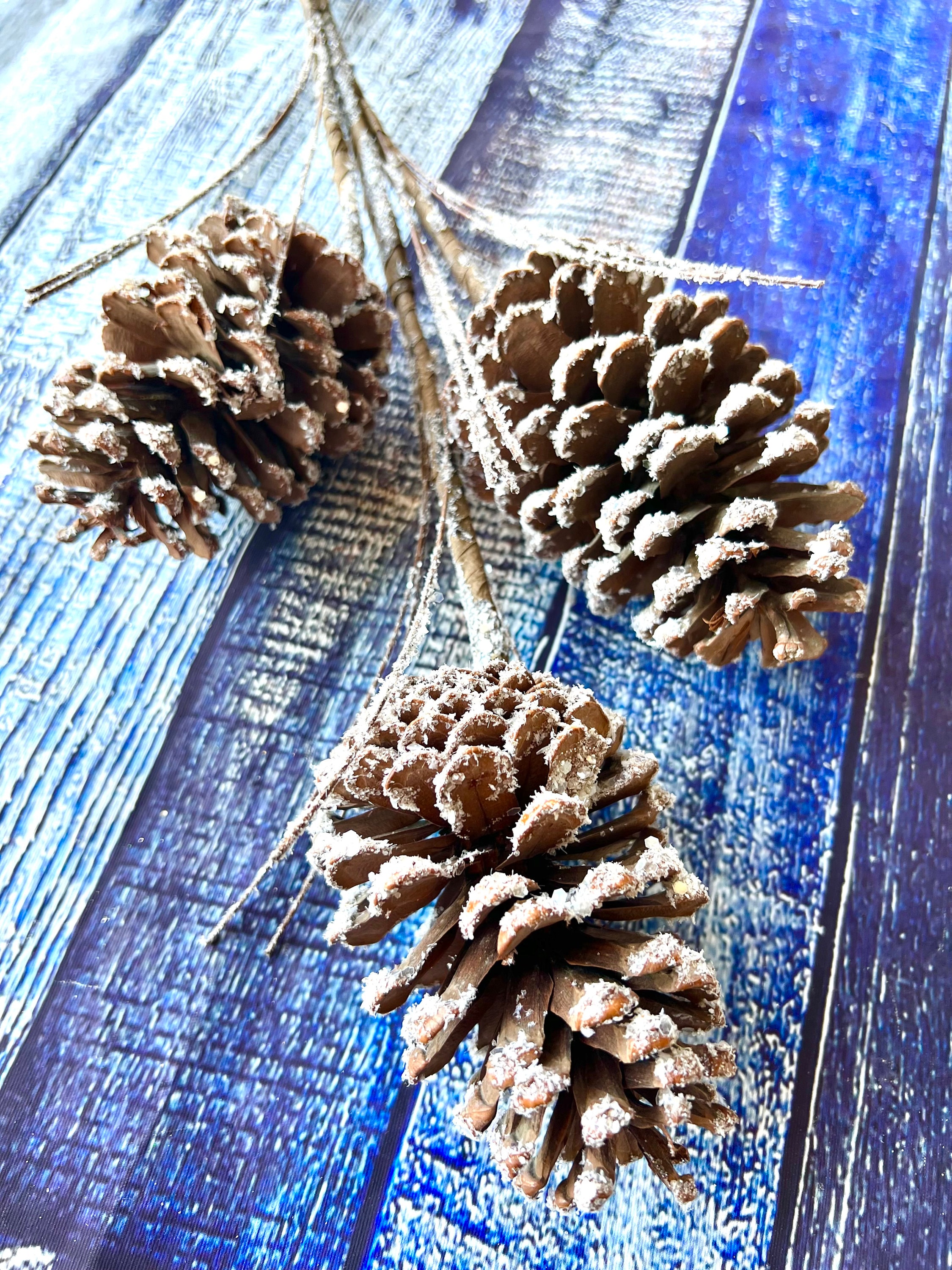 Frosted Pinecone Pick, Flocked Pinecone Stem for Wreaths and Decorations,  Winter Pinecones, Christmas Pinecones 