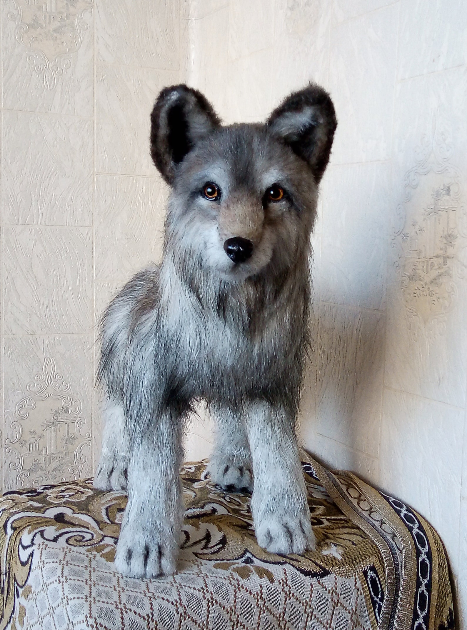Realistic plush wolf portrait plush collectible pet toys | Etsy