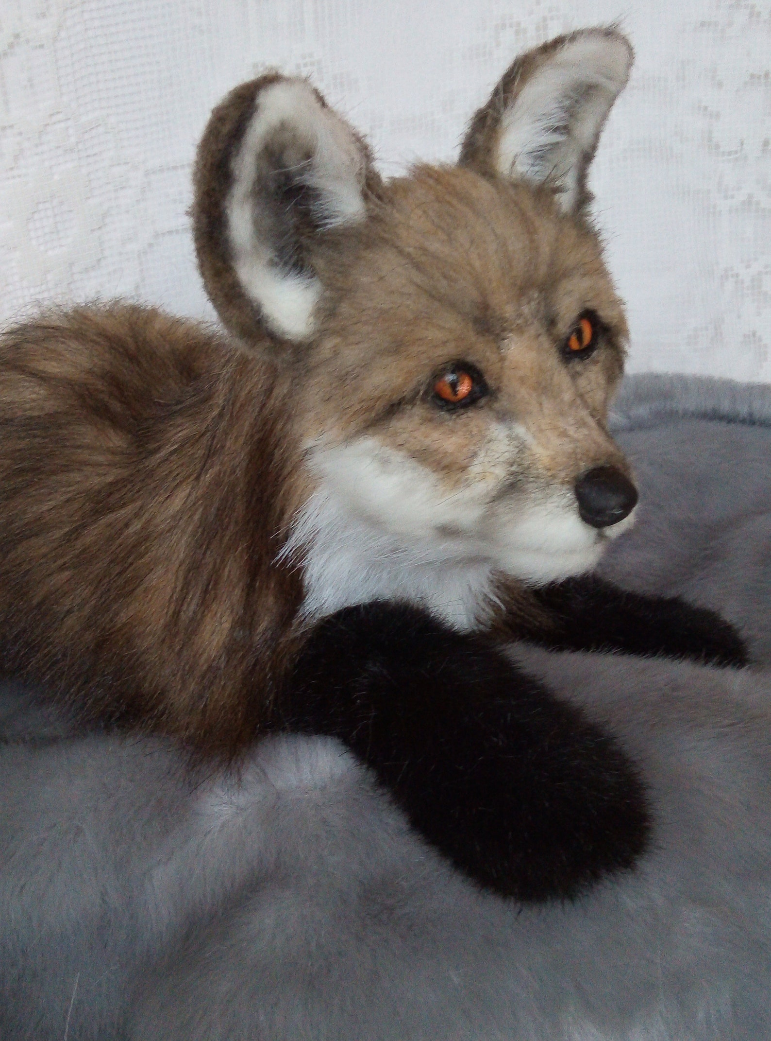 Realistic plush Fox animal portrait collectible toys for
