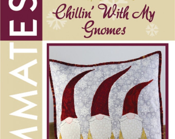 Chillin' With My Gnomes  *Pillow Pattern*  By: Donna Babylon for More Splash Than Cash - Applique'0319