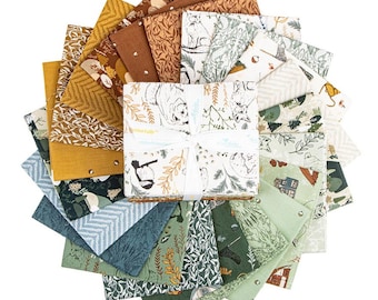 Let's Wander *Fat Quarter Bundle - 21 Pieces* By: Casey Cometti for Riley Blake Designs FQ-16880-21